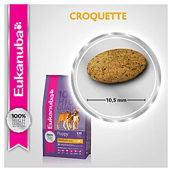 Croquettes pour chien