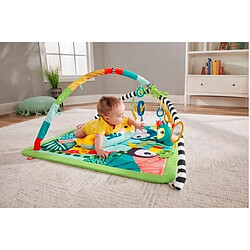 Acheter Fisher Price Rainforest Spieldecke, Spielbogen/Decke