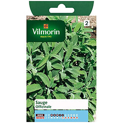 Vilmorin Sachet graines Sauge officinale