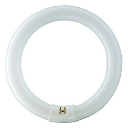 tube néon circulaire - tl-e 40w - 4000k -29 mm - philips 284747