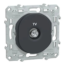 prise - tv - anthracite - schneider electric s340405