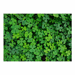 Paris Prix Papier Peint Green Clover 105 x 150 cm