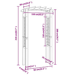 vidaXL Arche en treillis 110x60x210 cm Bois de pin massif imprégné pas cher