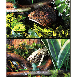 Reptile Vivarium Terrarium Aquarium Décoration Diy Décor # 8 écorce D'arbre S