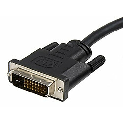 StarTech.com DP2DVIMM6 Câble Adapteur DisplayPort® vers DVI de 1.8 m Convertisseur DP 1x DisplayPort Mâle 1x DVI-D Mâle 1920x1200 pas cher