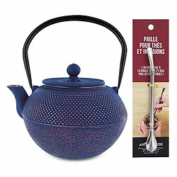 Acheter Aromandise Théière en fonte chinoise Song 1,2 L + paille inox avec filtre