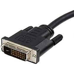 Avis Startech 6FT DISPLAYPORT TO DVI CABLE 1920X1200 DVI ADAPTER CABLE10PK