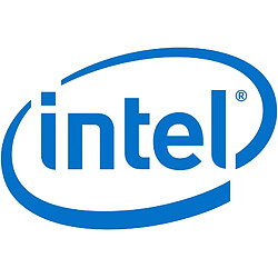 Intel AXXRMM4 rmm4lite2 Gestion à Distance 4 Lite 2 Vert