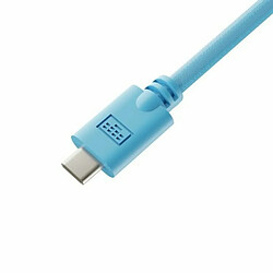 Câble USB A vers USB-C Newskill Bleu