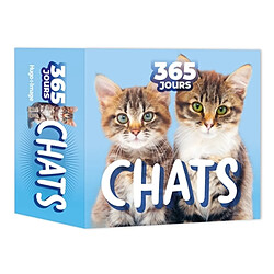 Chats : 365 jours