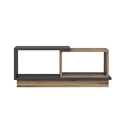 Acheter Toilinux Table basse 2 niches Zéline en bois - Anthracite et beige