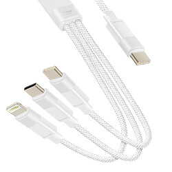 LinQ Câble USB-C vers Lightning + 2 USB-C 60W Charge Rapide Longueur 1.2m Blanc