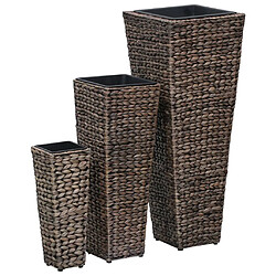 vidaXL Lits surélevés 3 pcs Jacinthe d'eau Marron foncé