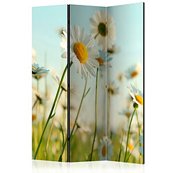 Artgeist Paravent - Daisies - spring meadow [Room Dividers] [135x172]