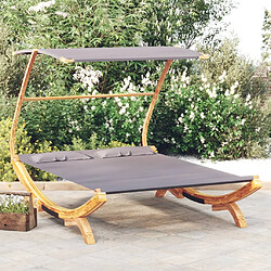 vidaXL Lit repos et auvent 165x203x138cm Bois courbé massif Anthracite