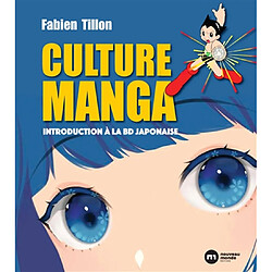 Culture manga : introduction à la BD japonaise - Occasion