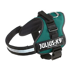 Julius K9 Harnais Power Julius-K9 - 1 - L : 66-85 cm-50 mm - Vert - Pour chien