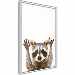 Paris Prix Affiche Murale Encadrée Funny Racoon 40 x 60 cm Blanc