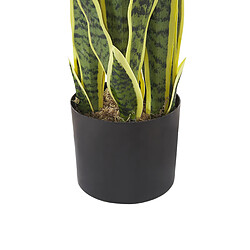 Acheter Beliani Plante artificielle SNAKE PLANT 63 cm