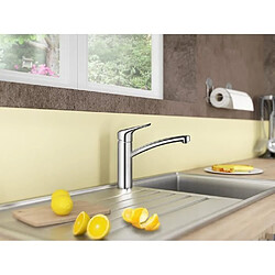 Acheter HANSGROHE Robinet mitigeur de cuisine Ecos - Sans douchette - Taille M - Chrome