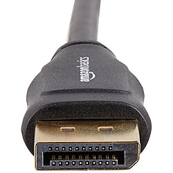 Basics Câble DisplayPort vers DisplayPort - 3 m