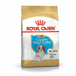 Nourriture Royal Canin Cavalier King Charles Spaniel Puppy 1,5 Kg