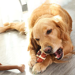 Jouet de dentition en nylon pour chien, réduit l'ennui des petits, moyens et grands chiens.