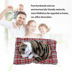 Universal Nouveau mignon animal analogique poupée peluche dormant chat avec son enfant jouet jouet