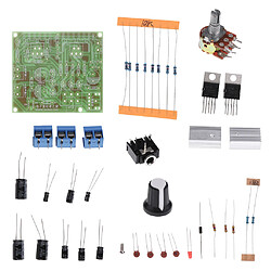 Module TDA2030A Alimentation Amplificateur Audio Conseil Réglable 12V DIY 2.0