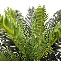 Acheter Mobili Rebecca Plante artificielle Cycas Rebecca Mobili Siyar 90x35x35 Polyéthylène Vert Marron