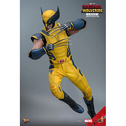 Avis Hot Toys MMS753 - Marvel Comics - Deadpool & Wolverine - Wolverine