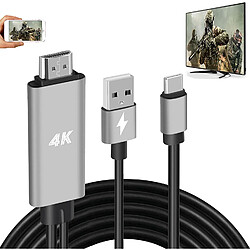 Adaptateur HDMI Câble USB Type-C Câble de conversion vidéo numérique MHL 4K HD