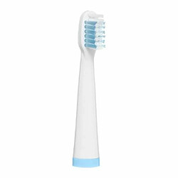 Avis Brosse à Dents Électrique Tooth 20cm Bleu