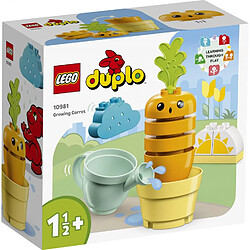 LEGO 10981 La carotte qui pousse