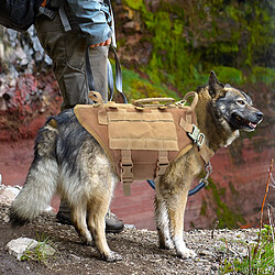 Acheter Universal Chien tactique, laisse de serrage, chien militaire, téléphone portable, pas de traction, maillage d'entraînement, harnais pour chiens moyens et grands (gauche).