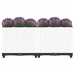 Avis Maison Chic Jardinière,Lit surélevé - Bac à fleurs - pot de fleur 80x40x38 cm Polypropylène -GKD71805