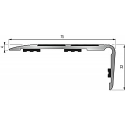 Avis Dinac Nez de marche en aluminium pour usage tertiaire intérieur modèle 6T à 2 bandes - pose en applique avec adhésifs