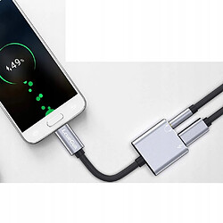 Acheter GUPBOO Adaptateur 2 en 1 USB-C -> USB-C + AUX,JL843