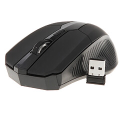 Souris sans fil pour ordinateur portable avec récepteur nano USB Souris mobile à défilement rapide Noir