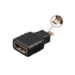 Disney Microconnect HDM19F19MM adaptateur et connecteur de câbles