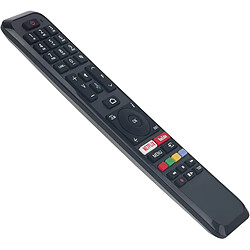 SANAG Rc43160 Telecommande Remplacee Convient Pour Jvc/Toshiba/Vestel/Techwood/Hitachi Tv 43Ua3A63Dg 49Ua3A63Dg 65Ua3A63Dg Lt43Va6900 Lt43Va6955 Lt43Va8900 Lt50Va6900P Lt55Va6900P Sub Ct-8556