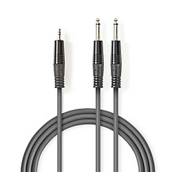 Nedis Câble Audio Stéréo 2xJack 6.5 mm mâles vers Jack 3.5 mm mâle