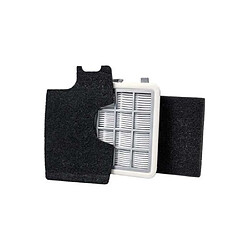 Filtre ef146 pour aspirateur electrolux - tornado - zanussi