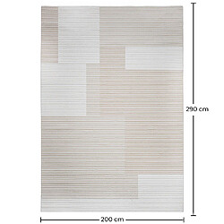 Acheter ICONIK INTERIOR Grand Tapis Design Contemporain et Moderne - Beige (290x200 cm) - Vistu Beige