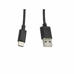 Câble USB A 2.0 vers USB C Lanberg Noir - 1 m