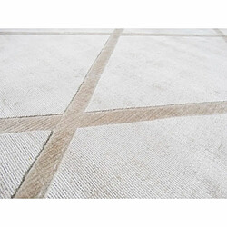 Avis Paris Prix Tapis Géométrique à Poils Courts Luxury II Taupe 160 x 230 cm