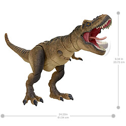 Mattel Jurassic World Jurassic Park Hammond Collection Tyrannosaurus Rex Figurine de Dinosaure 61 cm de Long avec 14 articulations Mobiles, Collection de Film