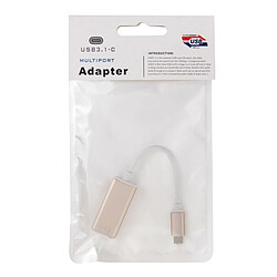 Wewoo Câble argent pour MacBook 12 pouces, Chromebook Pixel 2015, Tablette Tactile Nokia N1, Longueur: Environ 10cm adaptateur USB-C / Type-C 3.1 à Mini Display pas cher