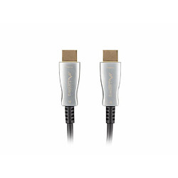 Câble HDMI Lanberg M/M V2.0 Noir 30 m