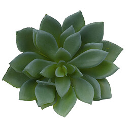 Plantes Succulentes Artificielles